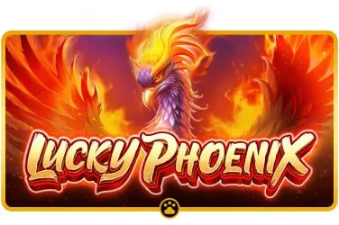 Philippine English interface and local experience on bmy77 platform